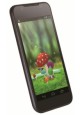 ZTE Grand Era U895